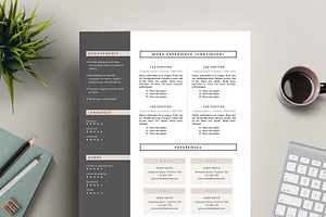 Feminine Resume Design CV