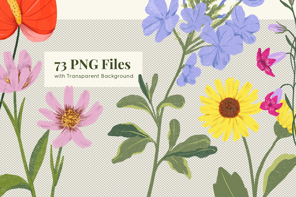Summer Meadow Wildflower, a Decorative Illustration by Manimanisa (Photo 3 of 12)
