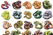 Watercolor Snakes Clipart, 20 PNGs, an Object Graphic by stickermadness (Thumbnail 4 of 4)