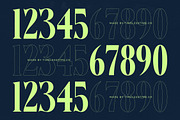 Bralge Modern Display Serif Font, a Serif Font by timelesstype.co (Thumbnail 12 of 20)
