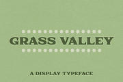 Grass Valley | Display Serif Font, a Serif Font by Yesterday's Type (Thumbnail 1 of 3)