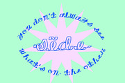 SWIRL a hand-drawn script, a Script Font by Eryn Rose Design (Thumbnail 10 of 22)