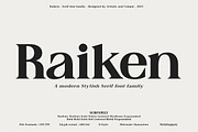 Raiken - Serif font family, a Serif Font by Artistic & Unique (Thumbnail 1 of 14)