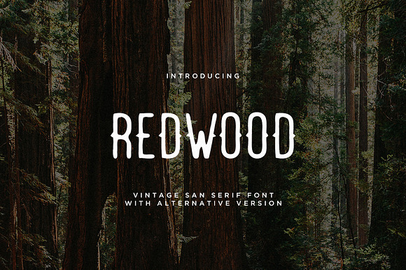 Redwood Font + Extras preview 7