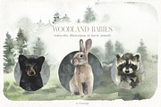 Watercolor Floral Bundle 90 in1, an Animal Illustration by whiteheartdesign (Thumbnail 3 of 50)