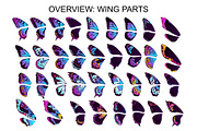 Wings & Butterfly(SVG, PNG Brushes), a Brush Add-On by xresch (Thumbnail 19 of 22)