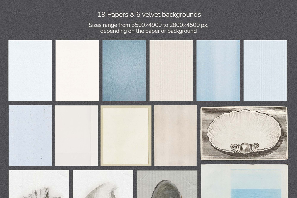 Coastal Romance collection, an Object Graphic by DigARTbyHavroshka (Photo 17 of 20)