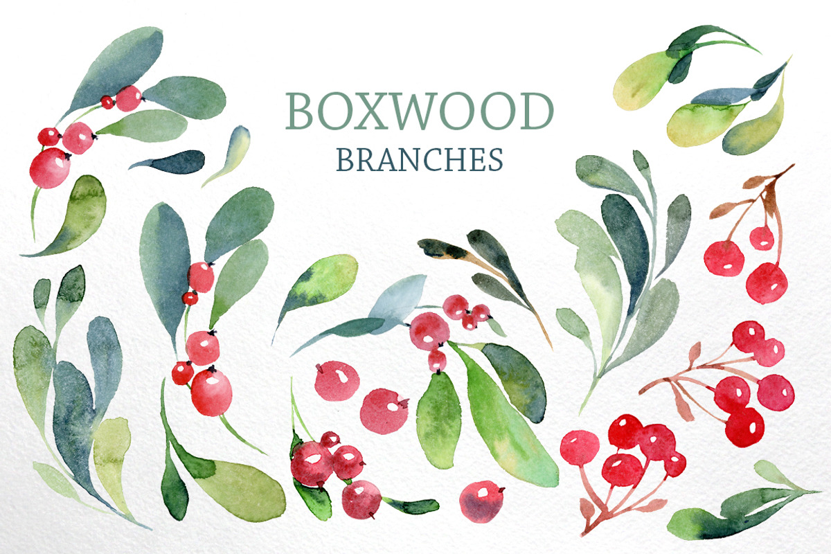 Watercolor branches and berries, an Illustration by katyabuslaeva (Photo 2 of 8)
