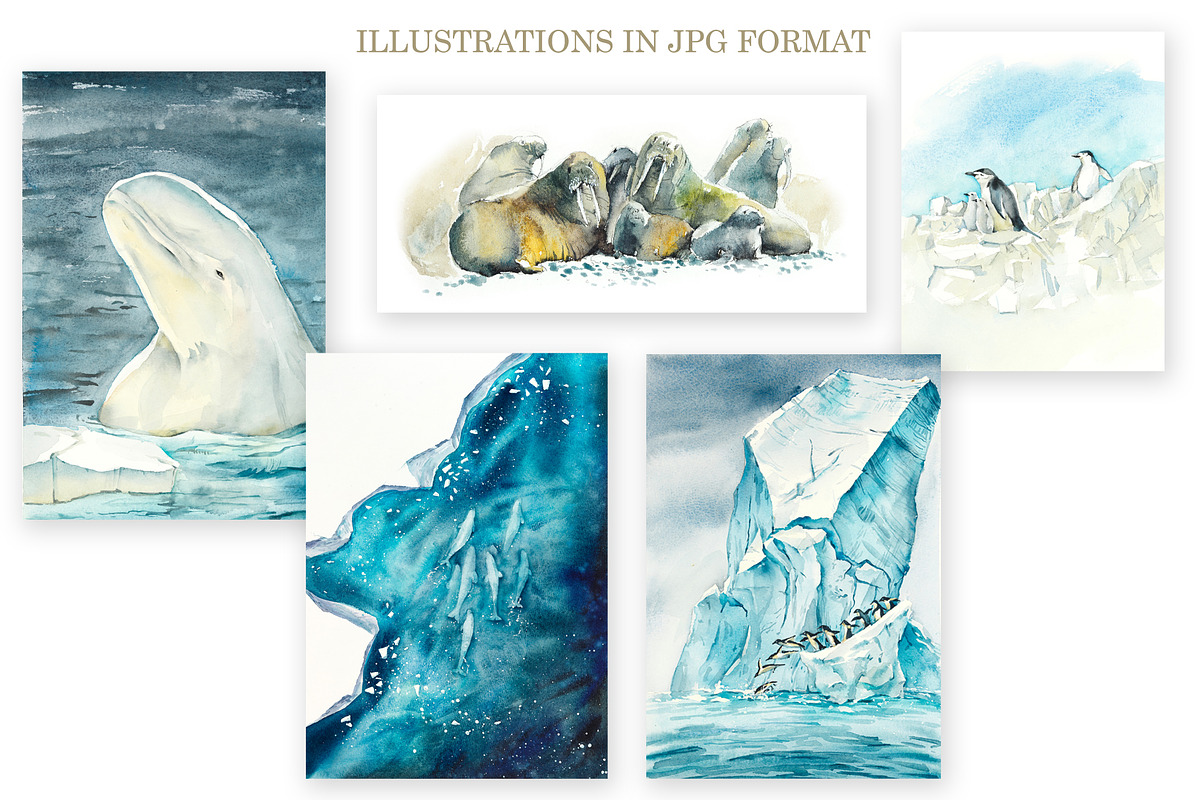 Watercolor Oceans, an Animal Illustration by Budogoshch (Photo 2 of 11)