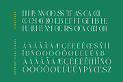Nelhinco Modern Display Serif, a Serif Font by Letterena Studios (Thumbnail 14 of 15)