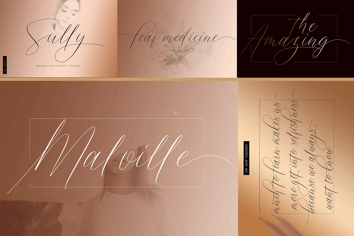 THE COLLECTION BUNDLE, a Script Font by danti (Photo 6 of 31)