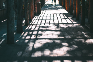 Wooden pergola walkway vertical, an Architecture Photo by SkyNext