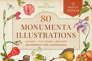 80 Vintage Nature Illustrations, an Object Graphic by The Object Atlas (Thumbnail 1 of 11)