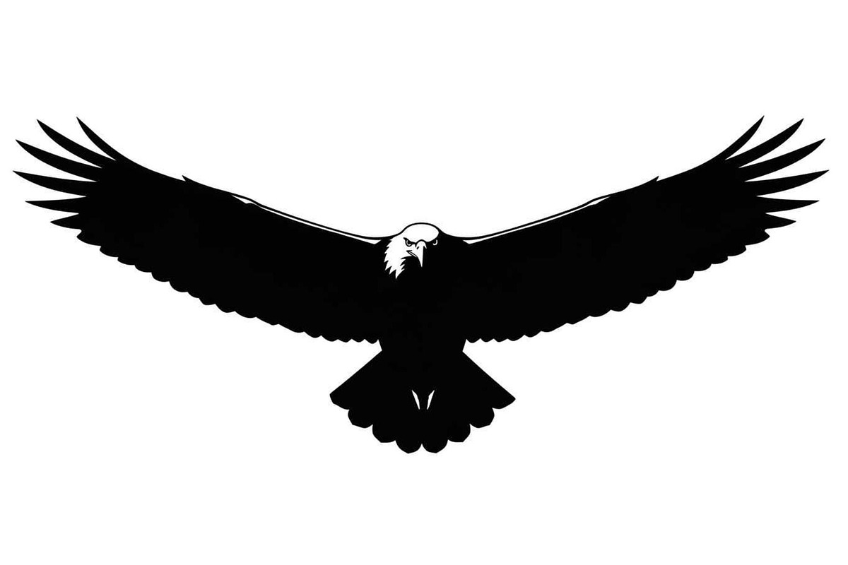 50 Flying Eagle Silhouette Vector Bu, an Illustration by Designs_River (Photo 46 of 51)