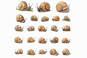 Watercolor snail clip art, an Illustration by Libby Wishes (Thumbnail 2 of 7)