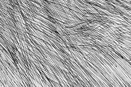 Black ballpoint pen, an Abstract Photo by Irene Loal