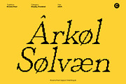 Rivania Pixel, a Serif Font by Craft Supply Co. (Thumbnail 4 of 8)