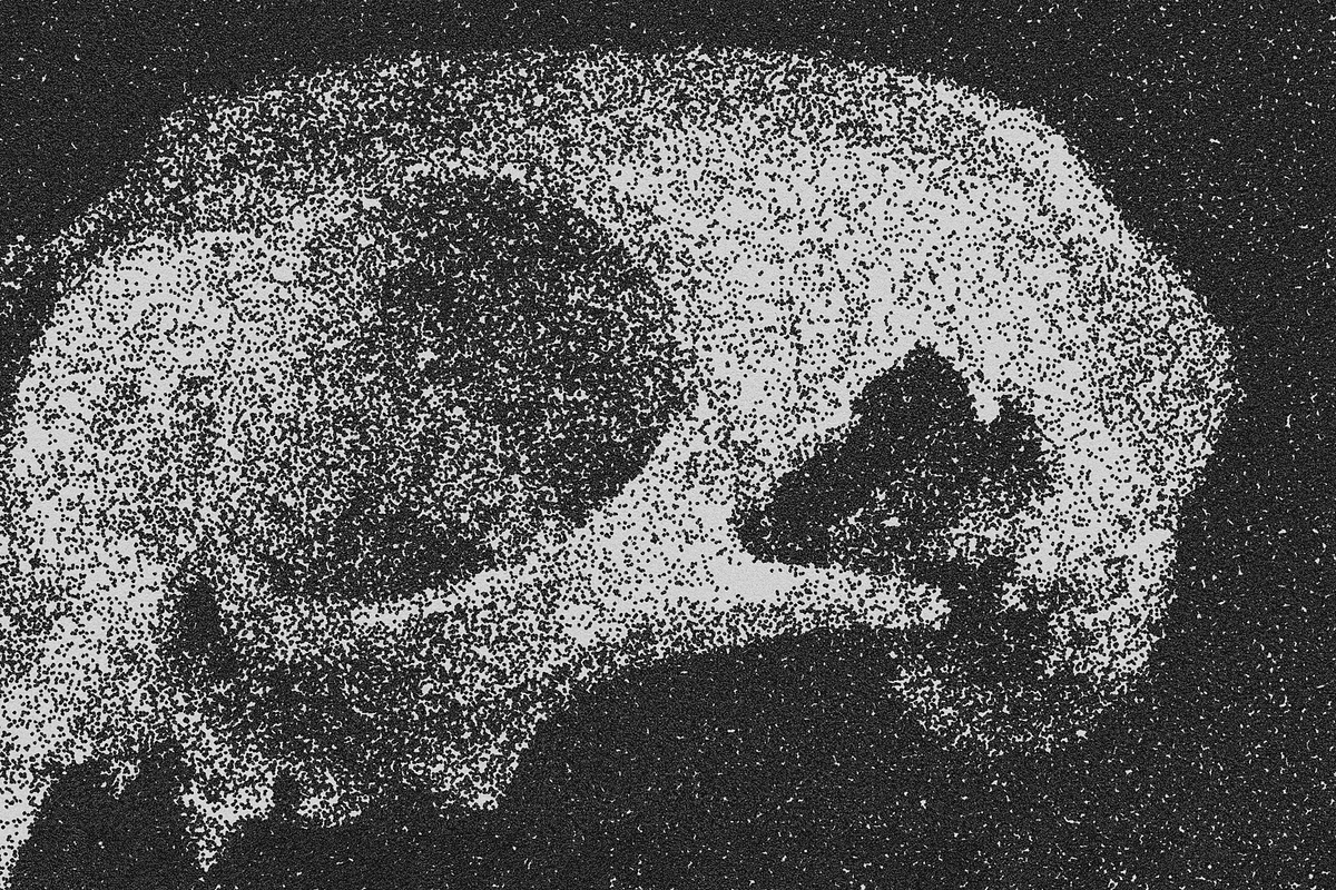 Vintage Stipple Pointillism Effect, a Layer Style Add-On by The Motel (Photo 5 of 7)