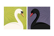 White and Black Swan Portraits, an Animal Illustration by PsychocheArt (Thumbnail 4 of 4)
