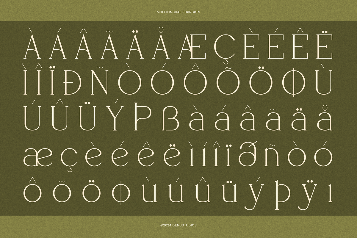 Frieren La Belle | Modern Serif, a Serif Font by Denustudios (Photo 13 of 13)
