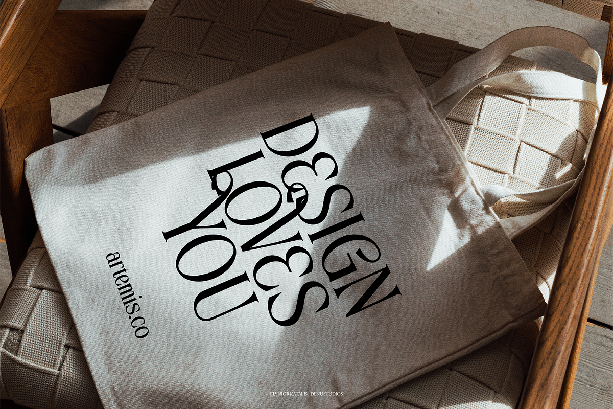 Elynior Katalis Display Elegant Font, a Serif Font by Denustudios (Photo 12 of 15)
