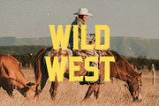 Dalton WoodType Font, a Serif Font by Bart Wesolek (Thumbnail 3 of 8)