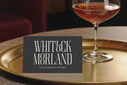 Broswick Bold Tall Display Serif, a Serif Font by timelesstype.co (Thumbnail 4 of 20)