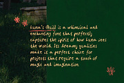 Handwritten Chalk Font Luna's Quill, a Handwritten Font by Perplexitics (Thumbnail 6 of 10)