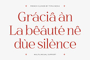 French Clover - Ligature Serif, a Serif Font by Typia Nesia (Thumbnail 4 of 13)