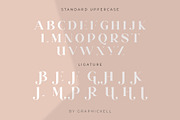 Yolinda Serif Font, a Serif Font by Graphicxell (Thumbnail 13 of 15)