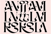 BOPHERA, a Sans Serif Font by Bagerich Type Foundry (Thumbnail 8 of 15)