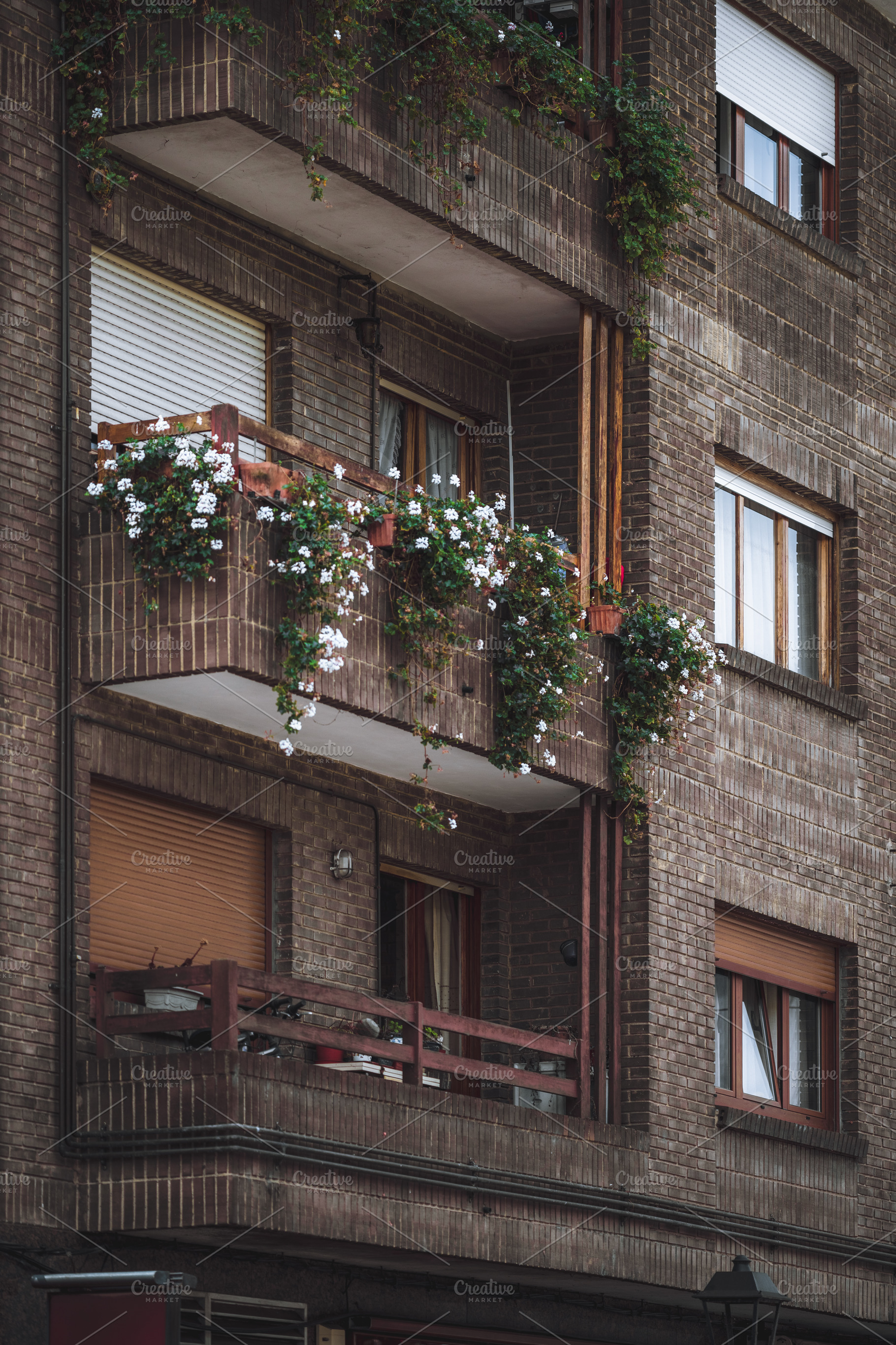 Urban balcony with ivy and flowers, an Architecture Photo by SkyNext