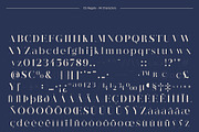 CS Regale – Elegant Serif Font, a Serif Font by Craft Supply Co. (Thumbnail 8 of 8)