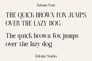 Zaloma, a Serif Font by Zaloma Studio (Thumbnail 7 of 10)