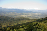 Mountain View, forested. preview 2