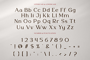 Final Parade – Luxury And Elegant Fo, a Serif Font by PutraCetol Studio (Thumbnail 6 of 12)