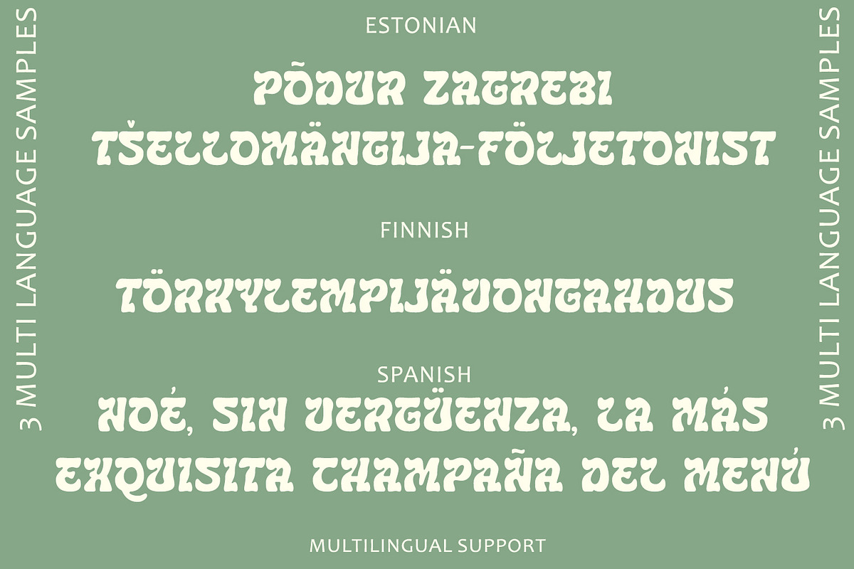 Palmica - Tropical Font, a Serif Font by Arendxstudio (Photo 10 of 13)