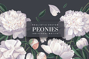 White Realistic Peonies Set, a Decorative Illustration by MarynaPetrovska (Thumbnail 1 of 16)