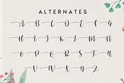 Homework | handwritten font, a Script Font by Scratchones (Thumbnail 10 of 13)
