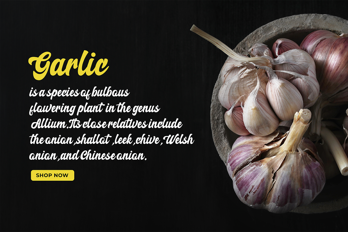Creamy Garlic Script Font, a Script Font by Authentic Studio (Photo 4 of 5)