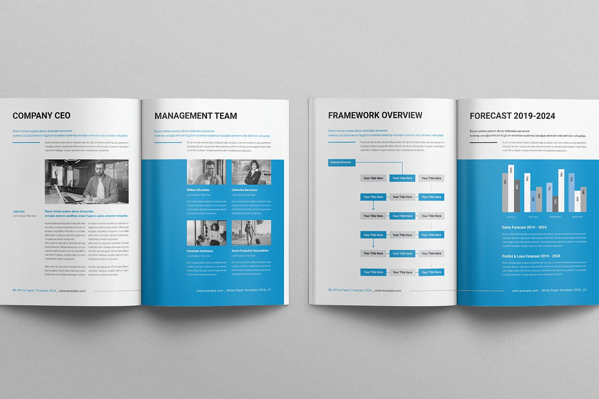 White Paper Template, a Brochure Template by E-Type (Photo 8 of 9)