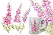 Wild flowers bundle, set Wildflowers, a Texture Illustration by MarinadeArt (Thumbnail 4 of 8)