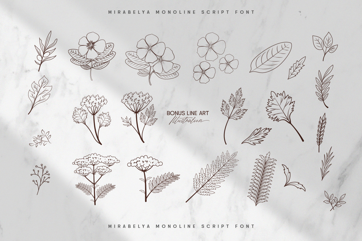 Mirabelya, a Script Font by Typeskets (Photo 12 of 12)