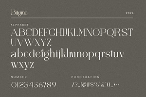 Brigme Elegant Serif Font Typeface