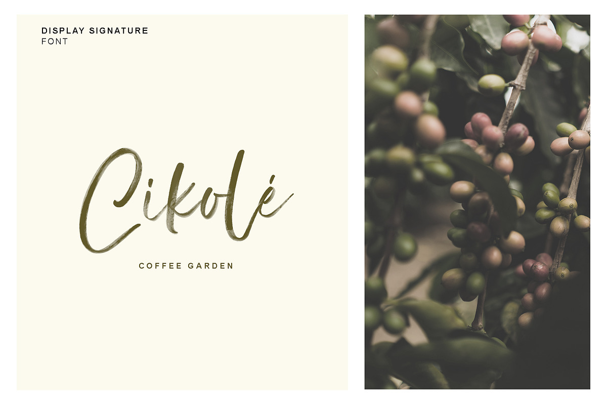 SALE! Display Signature Font - SVG, a Script Font by Emtheen Std. (Photo 5 of 11)
