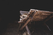 20 Christmas Stock Photos: 81% OFF, a Photo by Lightstock (Thumbnail 2 of 20)