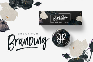 Black Diamond Brush Font