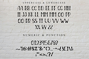 Flowers, a Script Font by FreshTypeINK (Thumbnail 8 of 8)