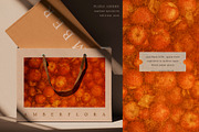 FloraAmber · Botanical Backgrounds, a Background Graphic by alonahaidash (Thumbnail 9 of 16)