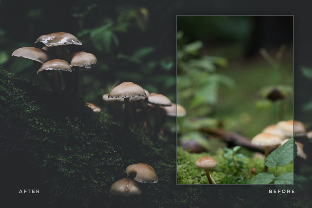 Artist Series – Lightroom Bundle 03, an Action Add-On by PhotoMarket (Photo 7 of 21)